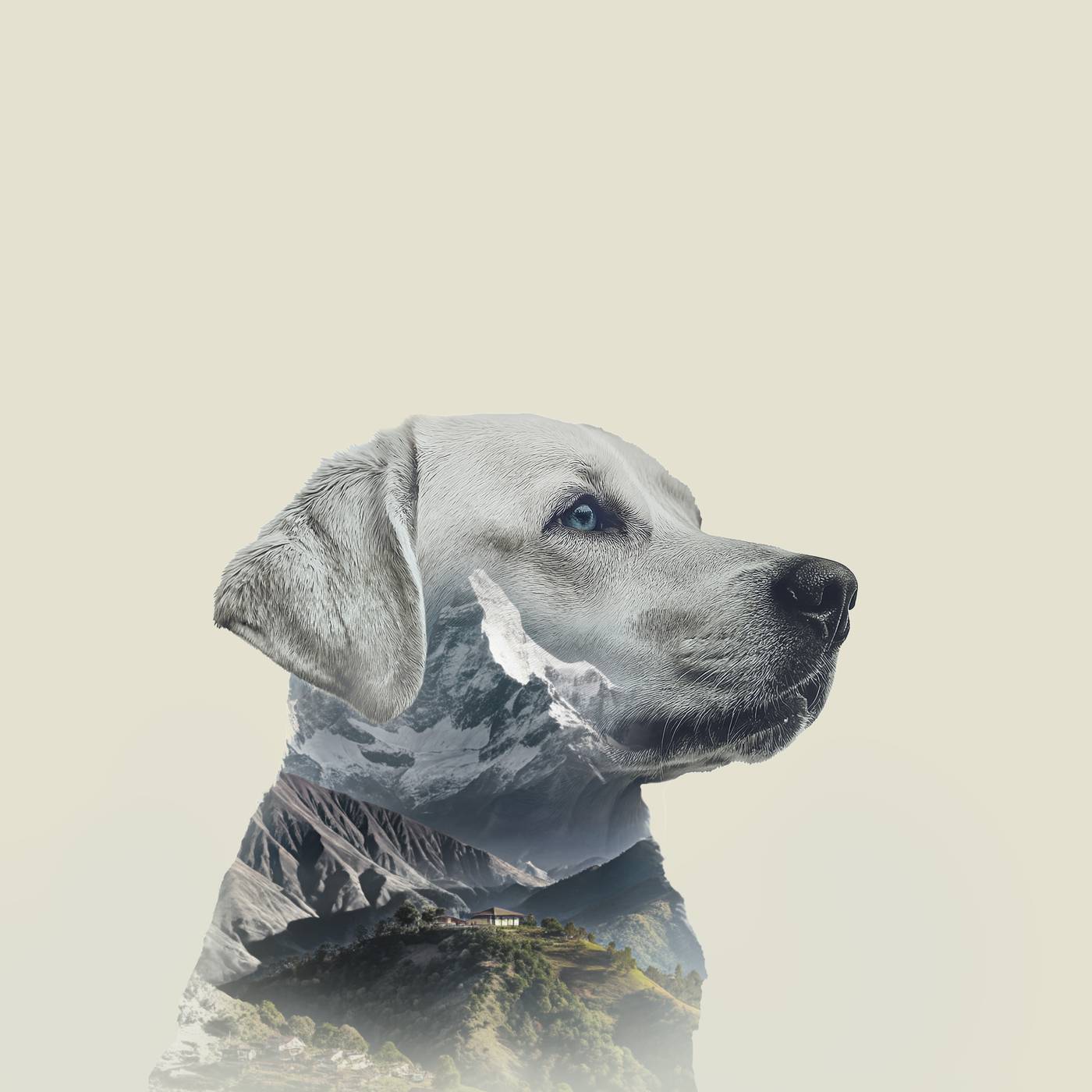 A dog holding a Nepaw churpi chew, seated before Himalayan peaks